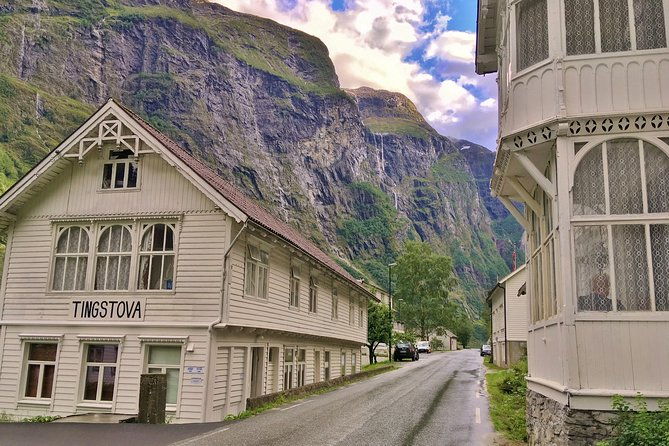 private-guided-tour-the-heart-of-norway-viking-special-8-9-hours-summer