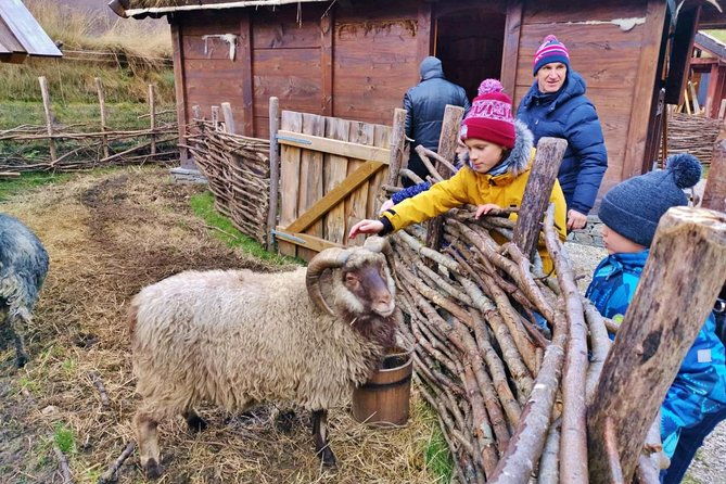 private-guided-tour-the-heart-of-norway-viking-special-8-9-hours-winter