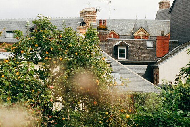 private-guided-walking-discovery-tour-of-honfleur
