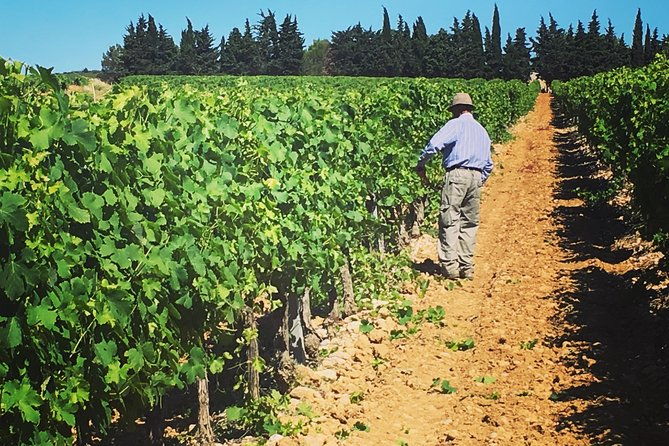 private-half-day-languedoc-wine-tour-from-sete