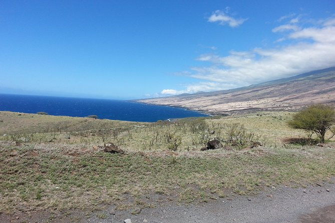 private-hana-ocean-turtle-town-winery-tour-of-maui