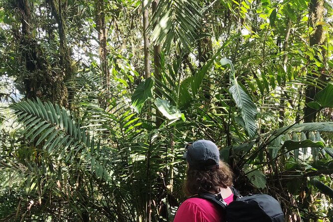 private-hike-through-the-waterfalls-of-the-mindo-cloud-forest