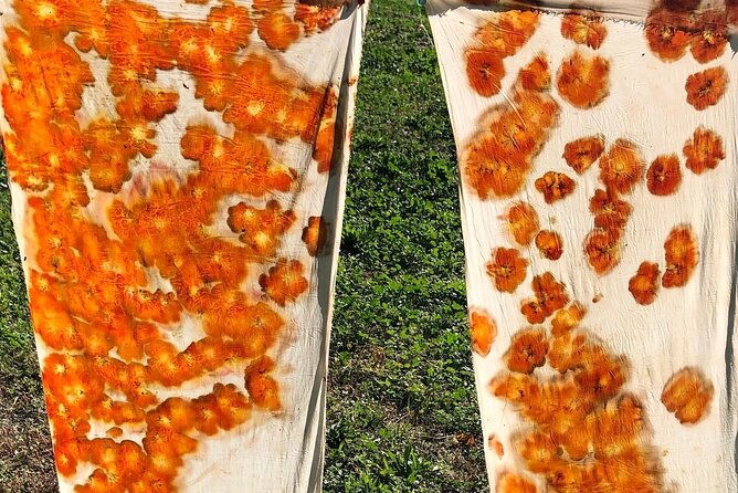 private-introduction-to-plant-color-in-forcalquier-in-provence