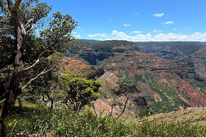 private-kauai-island-tour-waimea-canyon-kalalau-lookout-more