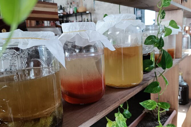 private-kombucha-making-workshop-in-cyprus