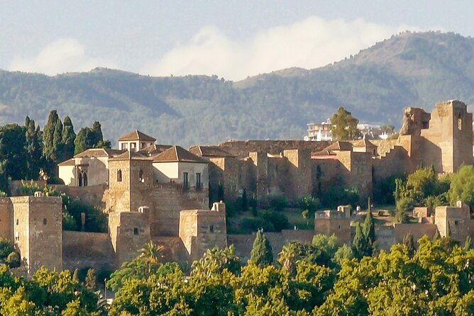 private-malaga-city-center-walking-tour-with-tapas-food-tastings