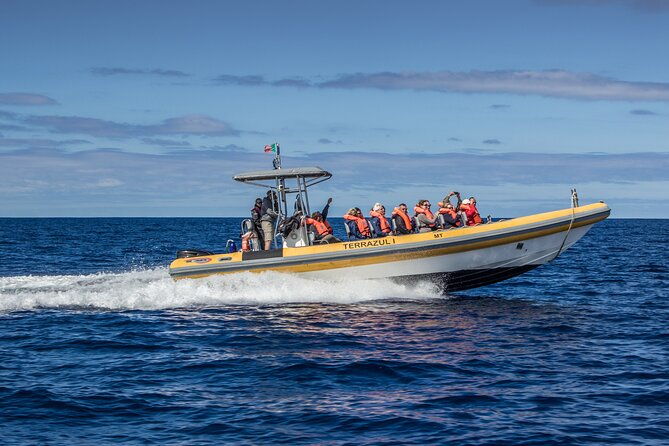 private-marine-wildlife-boat-tour