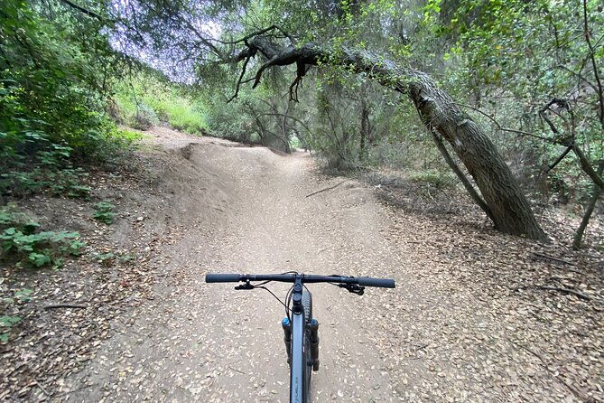 private-mountain-biking-adventure-in-san-diego