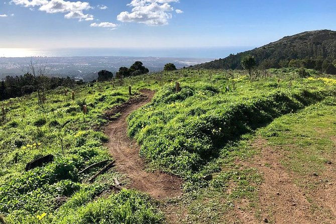 private-mountain-biking-adventure-in-sintra-cascais-park