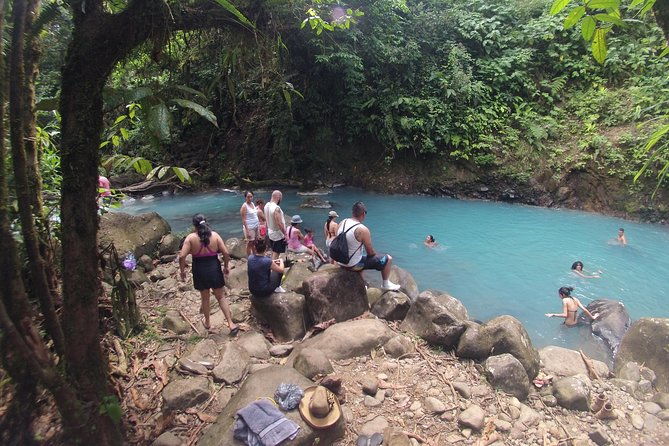 private-path-to-swimming-in-the-blue-water