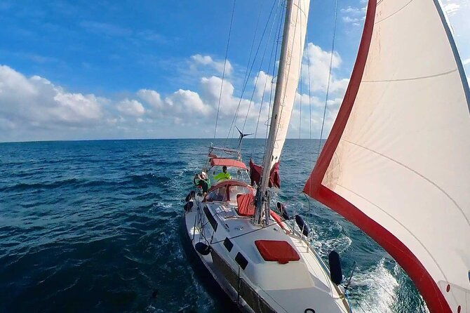 private-sailing-tour-in-sotogrande-plus-ideal-drink-groups-of-8
