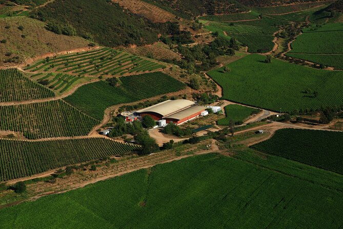 private-san-antonio-port-visit-chocalan-winery-transfer-hotel