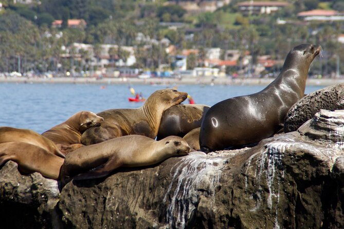 private-san-diego-seaside-tour-from-orange-county