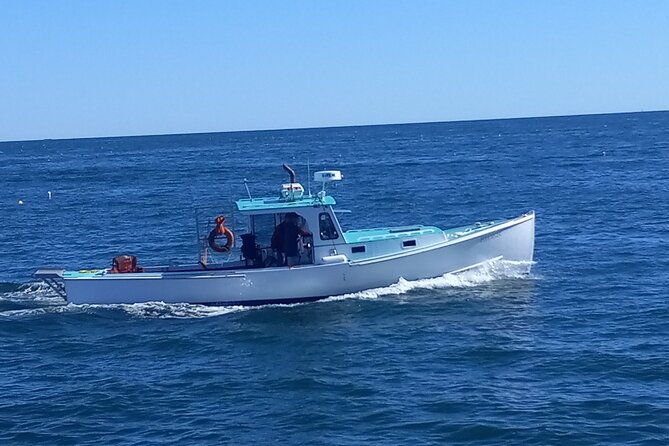 private-sightseeing-charter-in-frenchman-bay