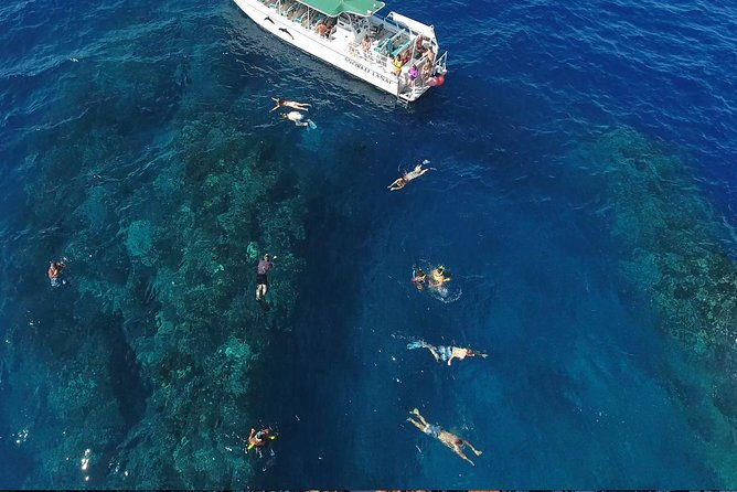 private-snorkel-tour-3-hrs-1-stop-from-kaanapali-beach