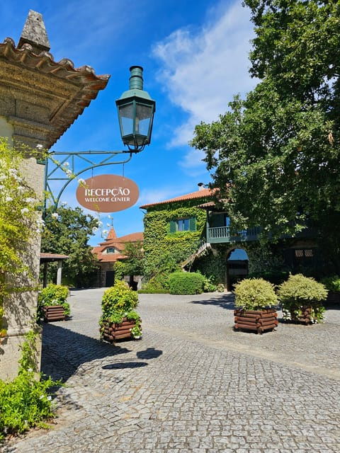 private-sommelier-tour-verde-e-douro-3-wineries-and-lunch