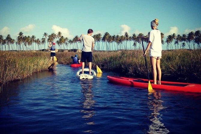 private-stand-up-paddle-and-kayak-tour-on-the-imbassai-river