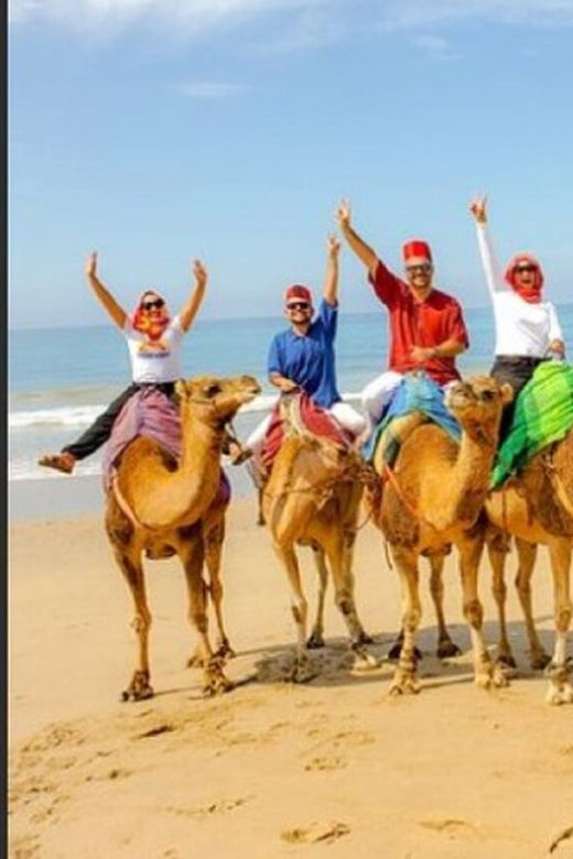 private-tangier-tour-from-gibraltar-including-camel-lunch