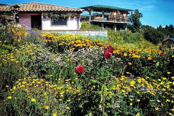 private-tour-heart-fair-flowers-adventure-park-flower-farm