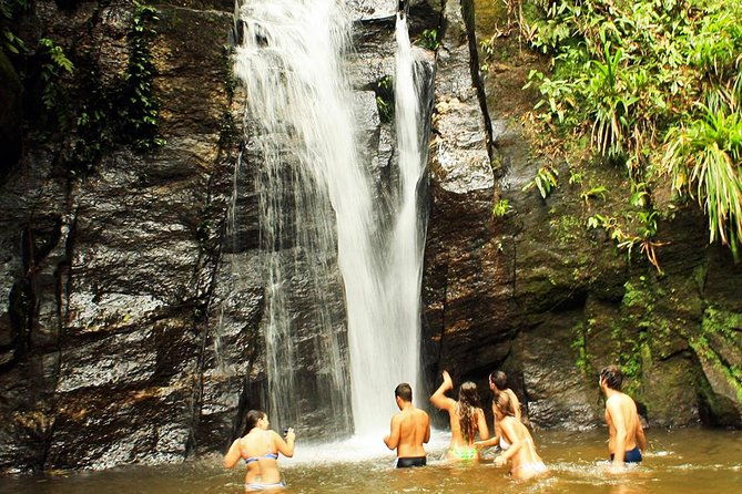 private-tour-rio-de-janeiro-eco-tour-at-tijuca-national-park