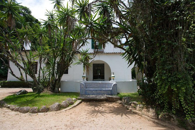 private-tour-tijuca-national-park-with-a-photographer