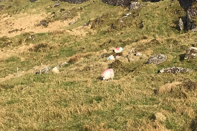 private-tour-to-gougane-barra-and-glengarriff