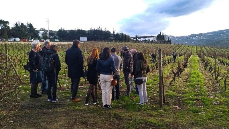 private-tour-to-stunning-douro-valley-and-renowned-wineries