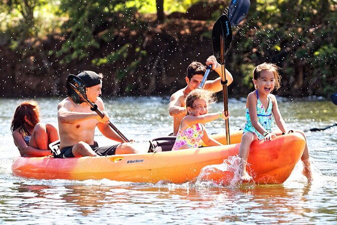 private-tour-ultimate-north-shore-experience