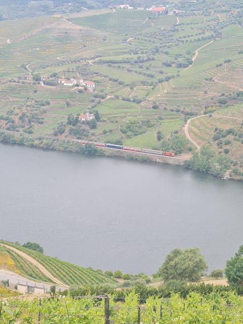 private-tours-and-transport-amazing-for-you-at-douro-valley