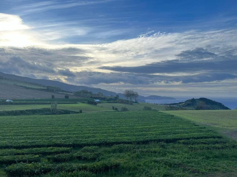 private-tours-best-spots-views-in-sao-miguel-island-3