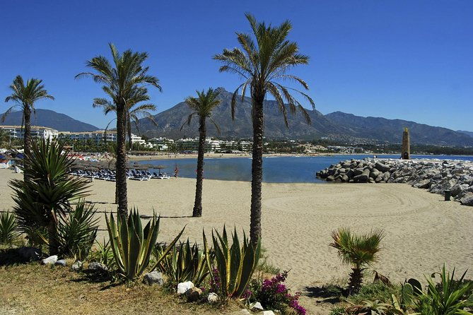 private-transfer-from-la-herradura-to-malaga-agp-airport