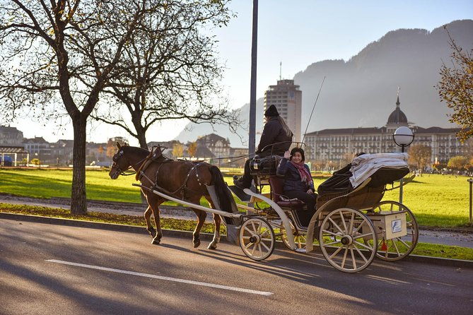 private-trip-from-geneva-to-the-swiss-capital-bern-paragliding-in-interlaken
