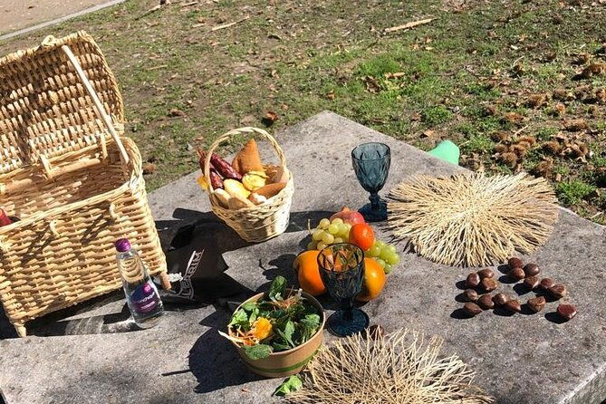 private-typical-portuguese-picnic-in-serra-de-monchique