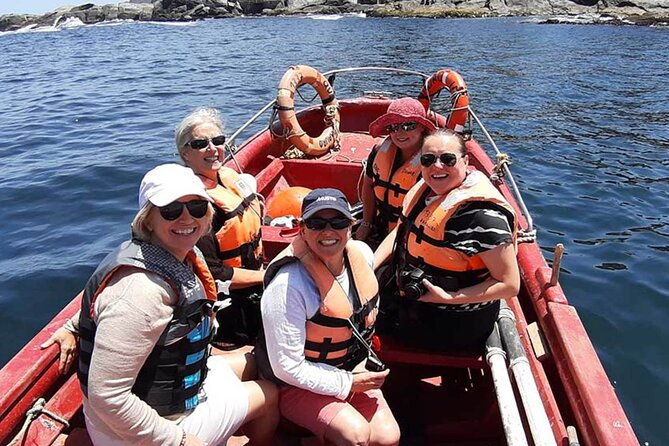 private-valparaiso-visit-penguins-island-horse-riding-picnic