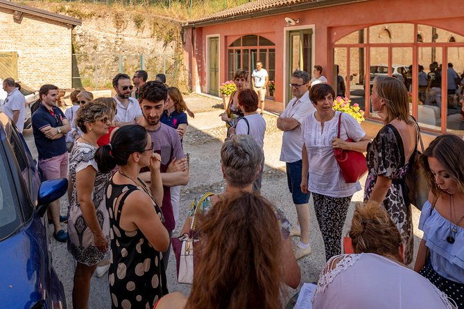 private-visit-to-vineyards-and-cellars-with-tasting-in-pavia