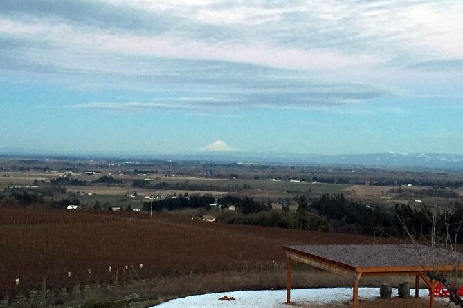 private-willamette-valley-character-winery-tour