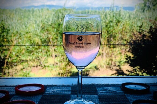 private-wine-tour-with-dine-in-black-mountain-from-asheville