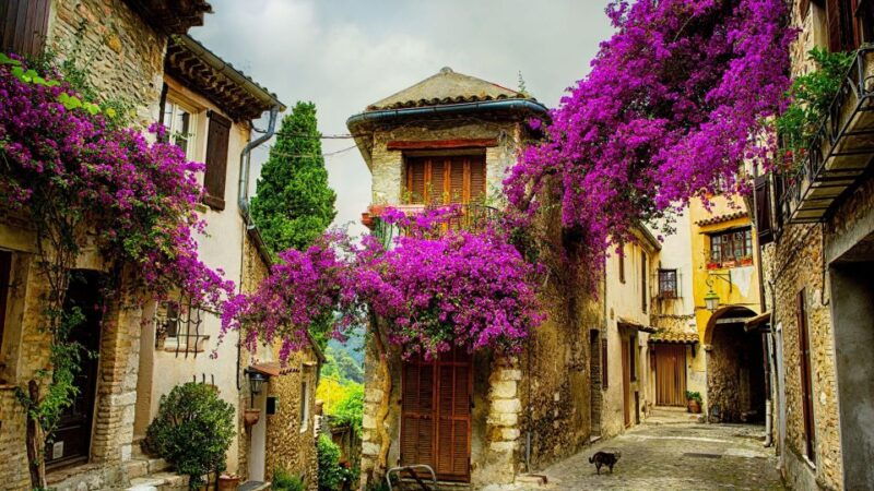 provence-private-tour-aix-en-provence-marseille-cassis