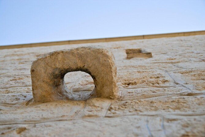 puglia-olive-oil-tasting-experience-with-olive-grove-walk