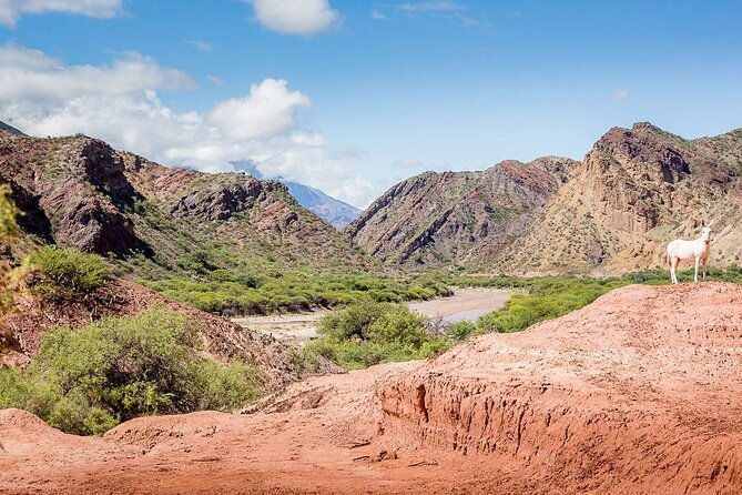 quebrada-de-las-conchas-hiking-from-cafayate