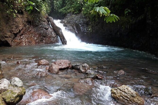 rainmaker-hike-and-hanging-bridges