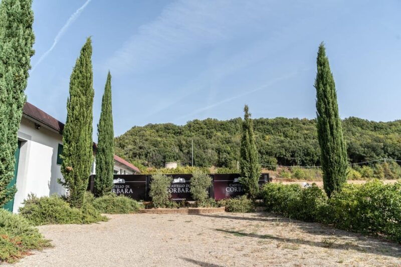 raise-a-glass-exclusive-wine-experiences-near-orvieto