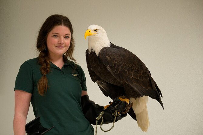 raptor-encounters-and-immersive-dome-experience