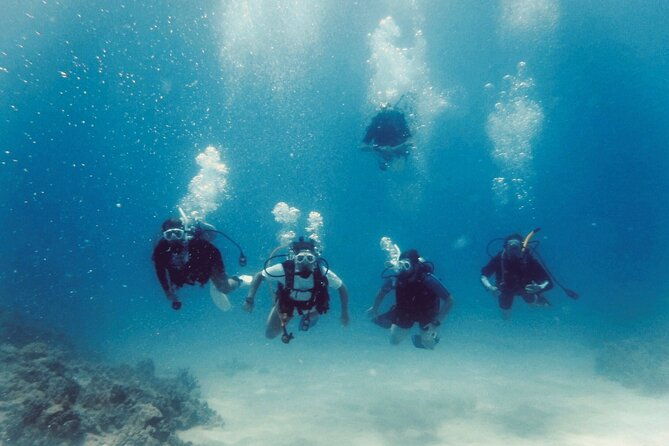 refresher-scuba-dive