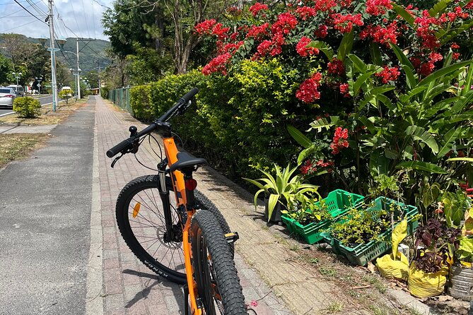 regular-bike-rental-by-e-valley-bikes
