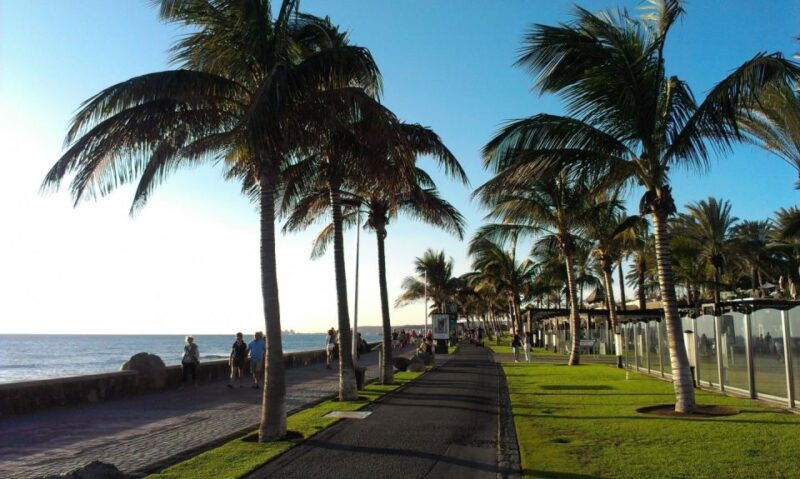 rent-a-city-bike-18-gears-from-9-hours-to-7-days-maspalomas