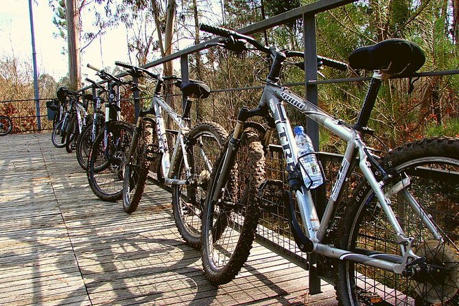 rent-bikes-e-bikes