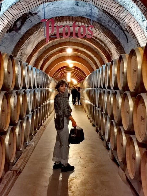 ribera-del-duero-wine-region-private-tour