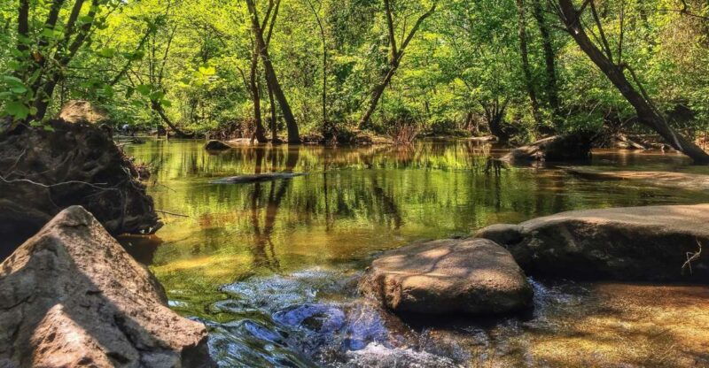 richmond-guided-hike-in-james-river-park