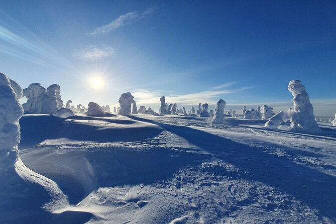 riisitunturi-national-park-snowshoe-experience